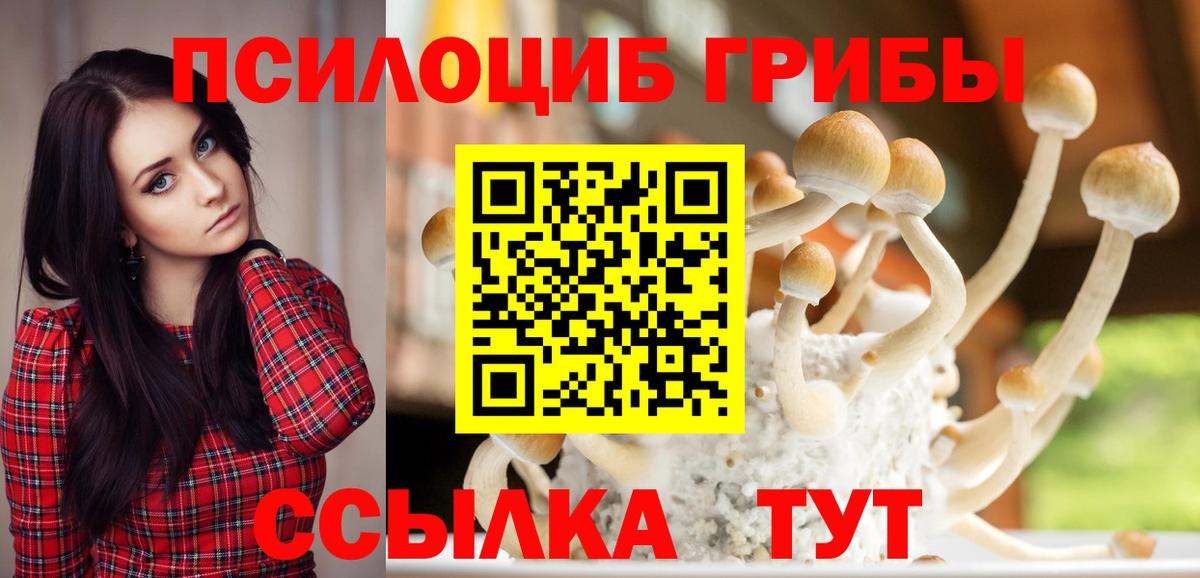 Псилоцибиновые грибы GOLDEN TEACHER Красный Сулин